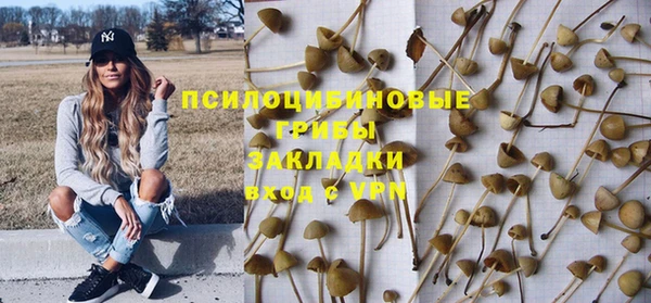 ешки Армянск