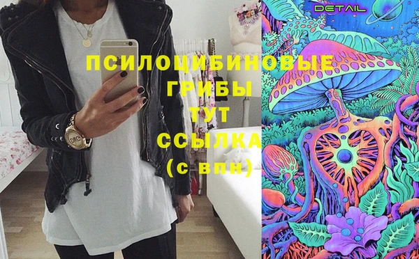 сатива Богородск
